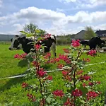 Naeve - Helle, Gemuetliche Auf Dem Lande Mit Zwei Schlafzimmern * Barderup